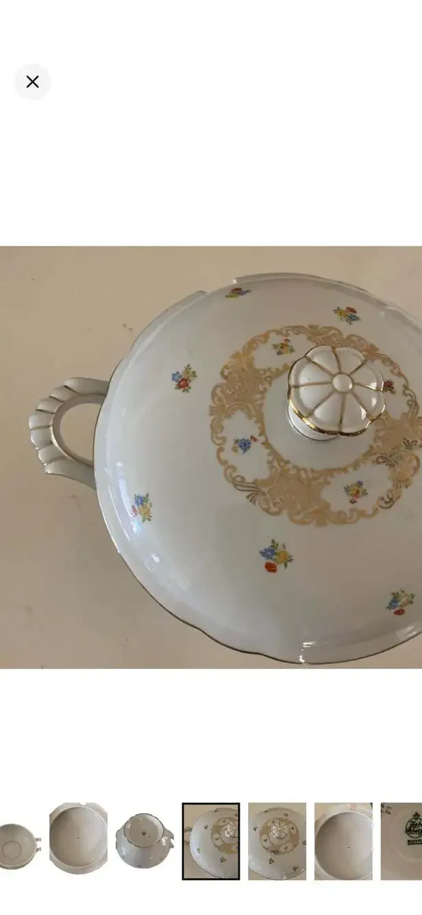 Zeh Scherzer Bavaria Germany Antique Porcelain Covered Vegetable Tureen with Flo